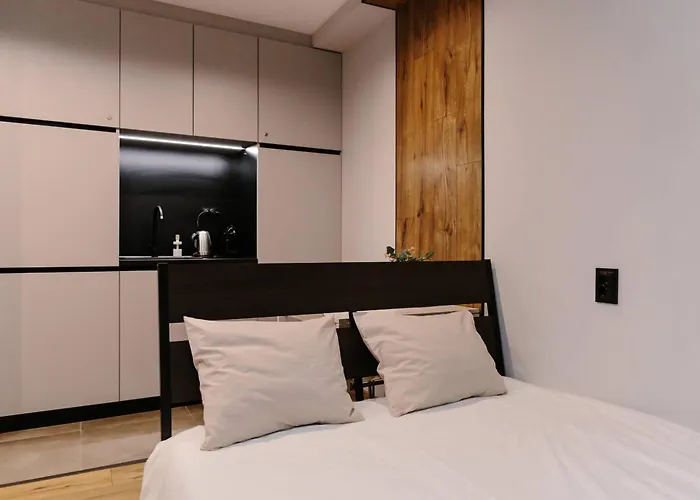 Vinyl Studio Apartment Sofia