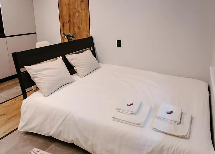 Vinyl Studio Apartment Sofia